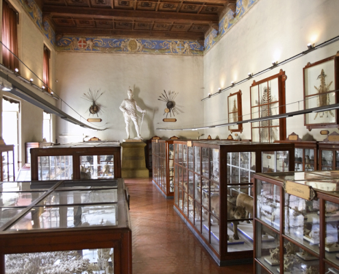 Museo di Storiografia Naturalistica