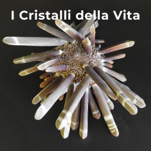 I cristalli della vita