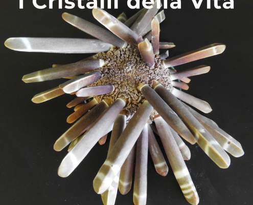 I cristalli della vita