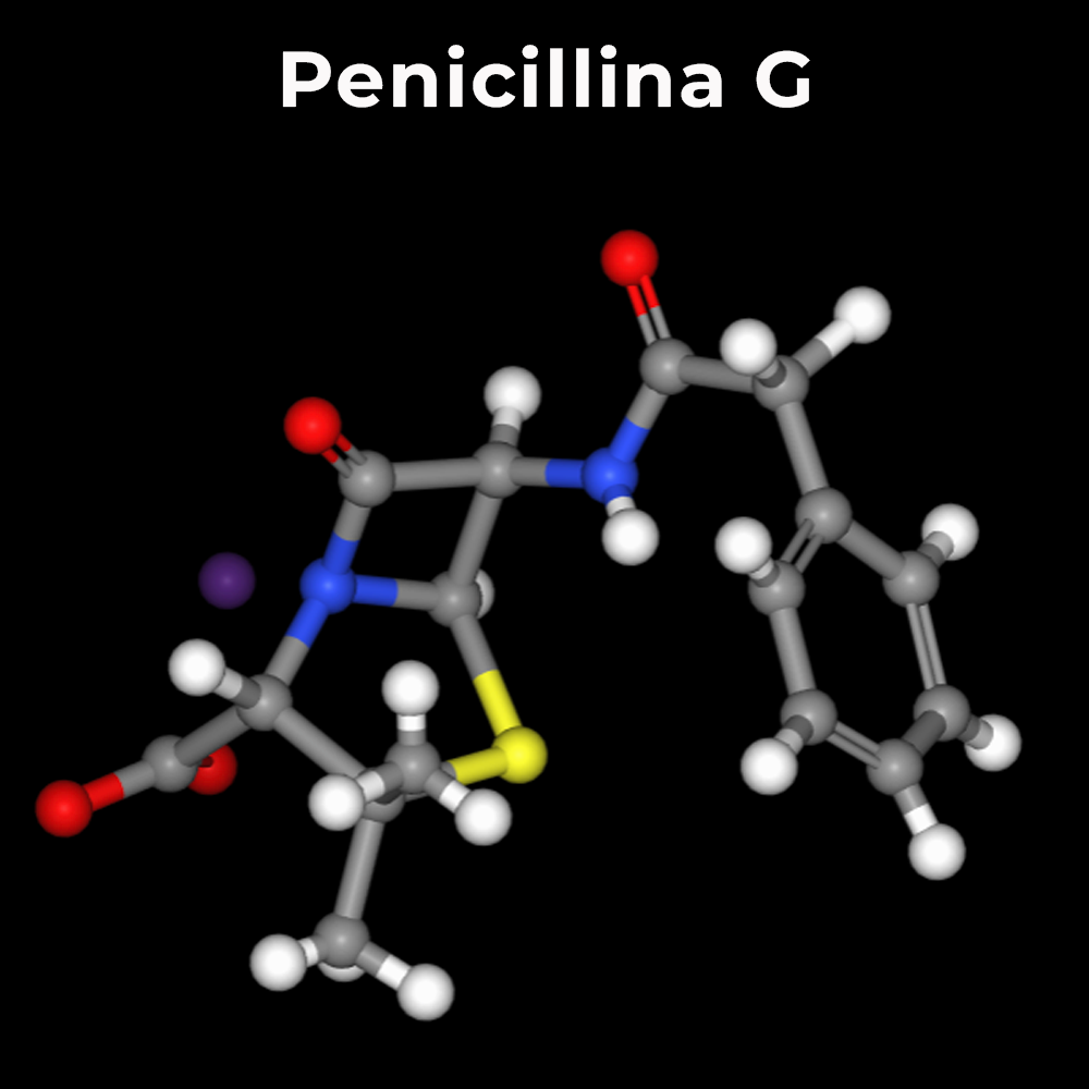 Molecola di penicillina G