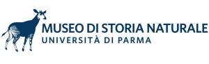 Logo Museo Storia Naturale